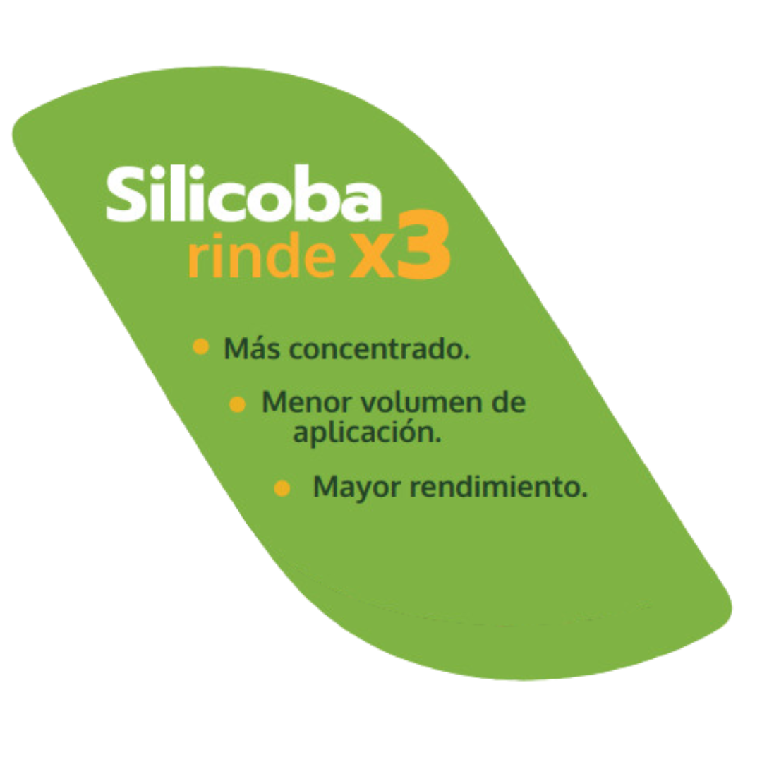 Diseño sin título (15)