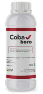 COBA BORO